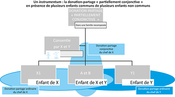 Schéma d'un instrumentum : la donation-partage "partiellement conjonctive" en présence de plusieurs enfants-communs et de plusieurs enfants non communs