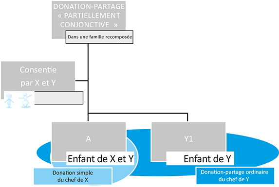 Schéma d'Absence d'instrumentum : multiplicité de donation-partage et donation simple en présence d'un seul enfant commun et d'un ou plusieurs enfants non communs (du même auteur)