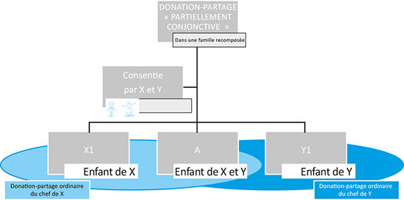 Schéma d'Absence d'instrumentum : multiplicité de donations-partages en présence d'un seul enfant commun et de plusieurs enfants non communs