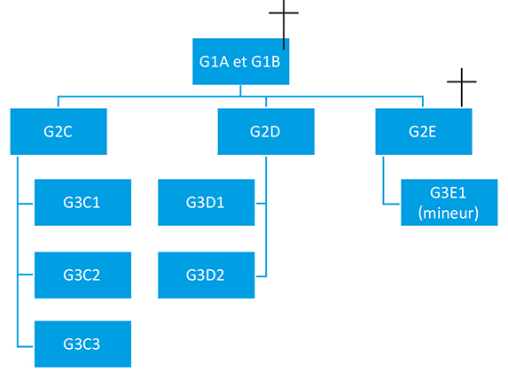 Schéma représentant la famille G