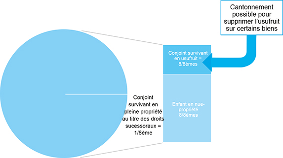 Schéma représentant les biens immobiliers : tous propres du défunt  lorsque le conjoint survivant opte pour l'usufruit de la totalité des biens