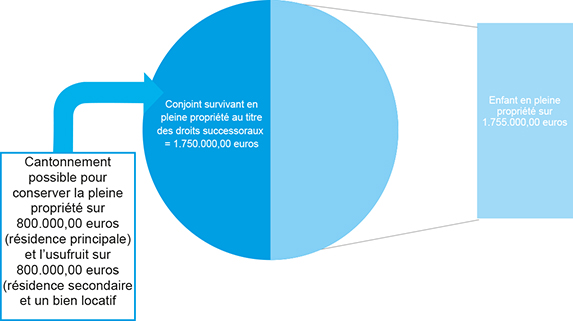 Schéma représentant les biens immobiliers : tous propres du défunt  lorsque le conjoint survivant opte pour la quotité disponible ordinaire en pleine propriété, soit la moitié en pleine propriété