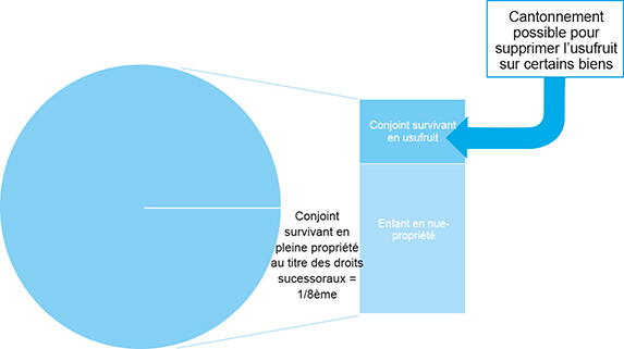 Schéma représentant les biens immobiliers propres du défunt lorsque le conjoint survivant opte pour l'usufruit de la totalité des biens