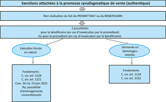 Schéma des sanctions attachées à la promesse synallagmatique de vente (authentique)