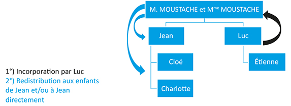 Schéma représentant la Redistribution oblique ou inter-souche de la famille Moustache