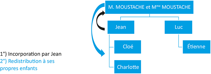Schéma représentant la Redistribution verticale ou intra-souche de la famille Moustache